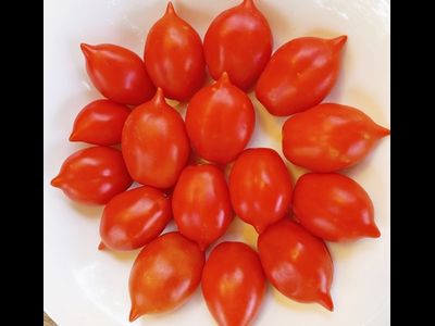 Томат Гора Везувий (Mt.Vesuvius, Mountain Vesuvius)