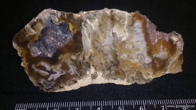 Халцедон - полированный срез