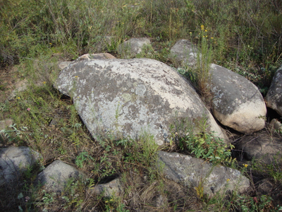 Речной валун