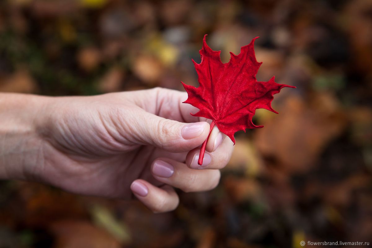 Елена Брандорф - цветы из шёлка (FlowersBrand). Брошь "Кленовый лист" (кожа)