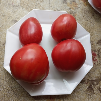 Томат Медвежье сердце