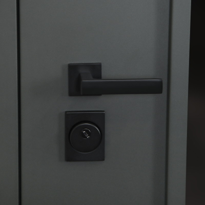 Стальная дверь   Барс с окном (терморазрыв 3к). Заказная модель.