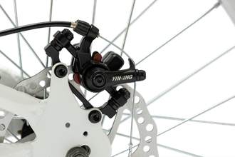 Велосипед TT231/ 1ск 20" фиолетовый рама 12"