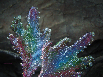 "Крылышки феи Рассветного сада", крупные серьги с капельками