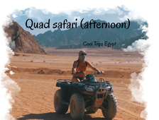 QUAD SAFARI IN THE AFTERNOON (3 hours program) (El Quseir, Port Ghalib, Marsa Alam)