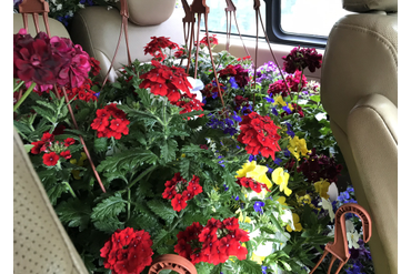 Доставка кашпо :)