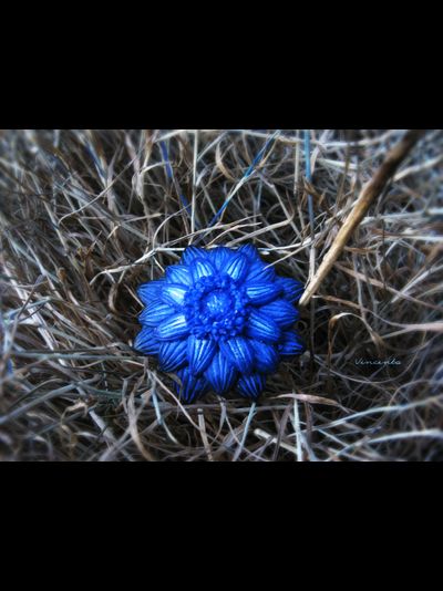 "Цветок, отражающий небо" - волшебное кольцо