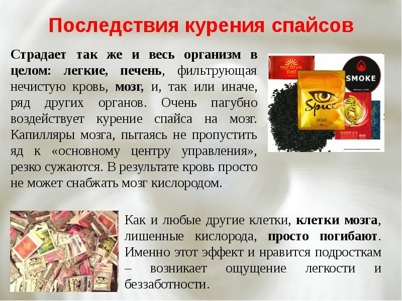 что такое спайс чем вреден что такое спайс чем вреден