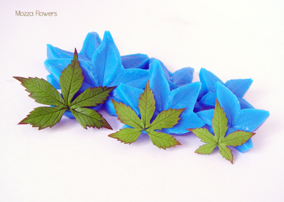 "Девичий виноград пятилистник" Силиконовый молд (вайнер)