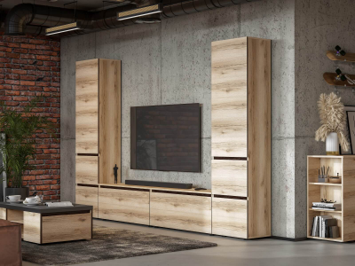 Берген тумба ТВ Дуб делано/Венге