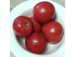 Семена томата Салоники