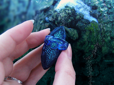 Морское кольцо "Рыбка Дракон" - необычное украшение в морском стиле