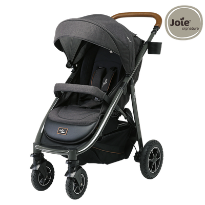 Joie mytrax flex signature review store