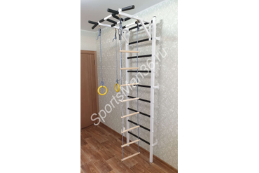 ШВЕДСКАЯ СТЕНКА РЕКОРД X1 (С ОПОРОЙ НА ПОЛ) + Турник Рукоход, цвет металла белый