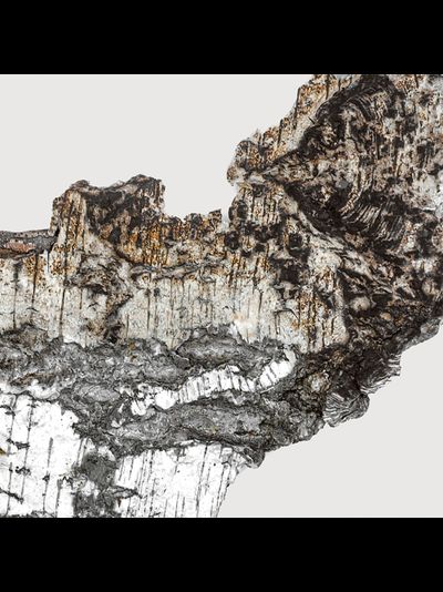 Matiere Premiere Falcon Leather Extrait