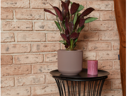 Горшок с дренажной системой Росси VipSet 1,9л инжир