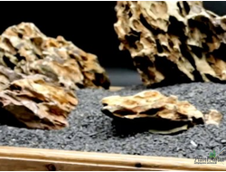 Камень натуральный Дракон XS 5-10 см