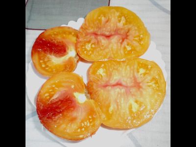 Томат Загадка природы