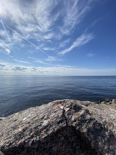 Масло НОТА: ЖЕНСКОЕ ПРИСУТСТВИЕ, 2.5 мл