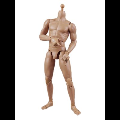 Тело мускулистое с шеей 1/6 - NEW:2.0 Body NO: BD003 - COOMODEL