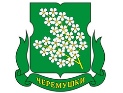 РЕКЛАМА В ЭЛИТНЫХ ДОМАХ МОСКВЫ РАЙОН ЧЕРЁМУШКИ