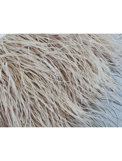 Перья страуса 10-15см КАПУЧИНО