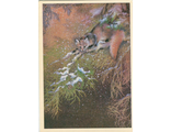 А. Исаков. &quot;Куница&quot; Оригинал 1981 г.