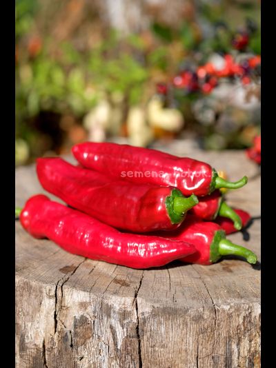 Перец сладкий Дольче Итальяно, 10 шт