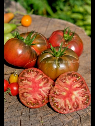 Томат Elbonian Mudball (Комок земли), 10 шт