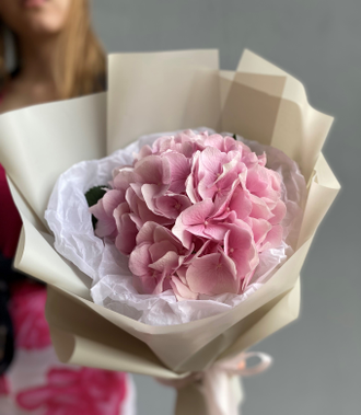 Букет из гортензии, розовая гортензия, букет на 1 сентября, мини-букеты, цветы дочери