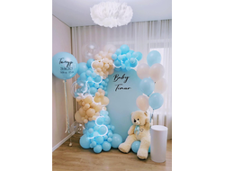 Фотозона на выписку из роддома для мальчика