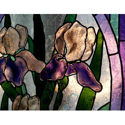 ИРИСЫ 41х31см.