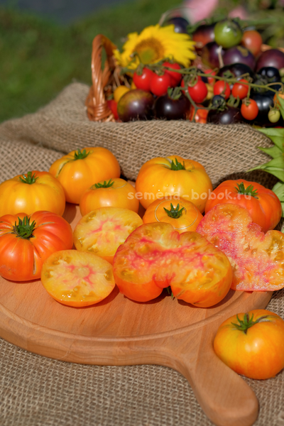 Томат Dwarf Wherokowhai (Гном Фероковкай), 10 шт