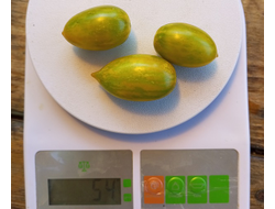 Томат Хаки полосатый