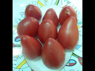 Томат Чудо Волфорда (Wolford Wonder)