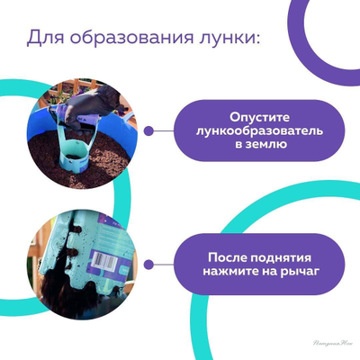 Сажалка для луковиц ZM 2115