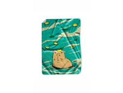 Покрывало Капибара, Kapibara-san №5