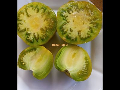 Томат Ярсон 18-3, Jarson 18/3