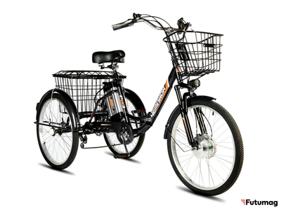 Электровелосипед трицикл РВЗ Чемпион (RVZ-HZ-01) черный