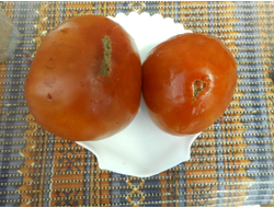 Томат Минусинские шары (усл)