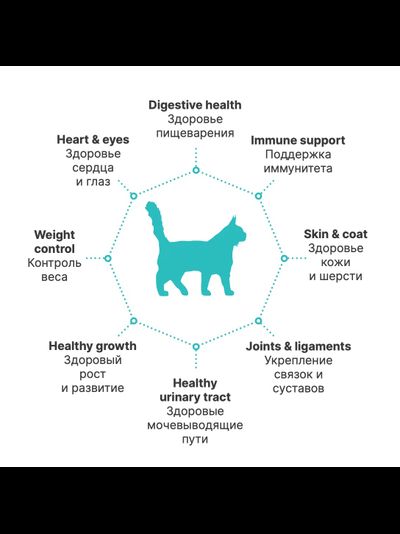 PREMIER (Премьер) сухой корм для кошек крупных пород, Ягненок, индейка 2 кг