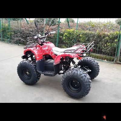 Квадроцикл GreenCamel Atakama T320 (48V 1000W R8 Дифференциал)