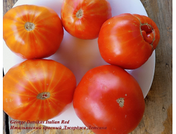 Томат Итальянский красный Джорджа Детсика (George Detsikas Italian Red)