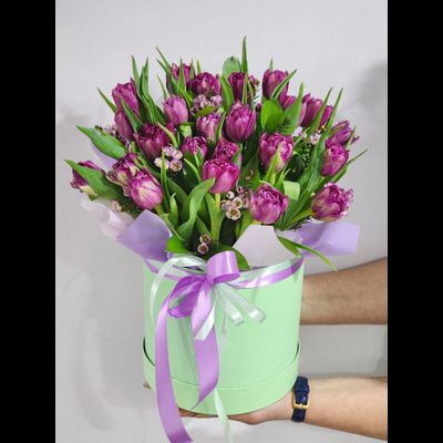 Композиция