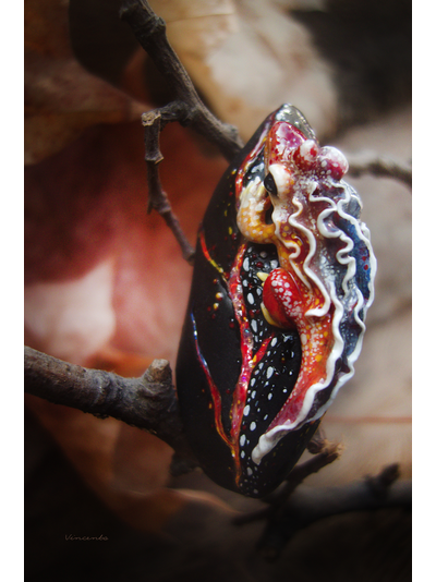 "Саламандра, дитя пламени", миниатюрная фэнтези-брошь (4,5 см)