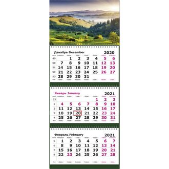 Календарь Полином на 2021 год 190x465 мм (Природа)