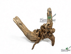 SwetAqua Chinese Sunken S - Натуральная коряга "Китайская затонувшая" S 20-35 см