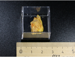 Аурипигмент, в пластиковом боксе, Россия, Якутия №22305