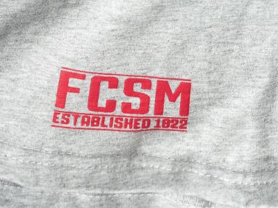 Футболка ФК СПАРТАК cерая (р.M) 110320