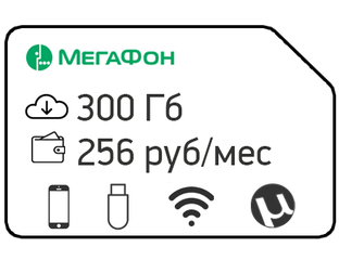 Интернет 300 рублей
